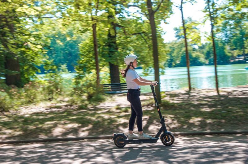 Lyon: 2-Hour Electric Scooter Tour With a Guide - Electric Scooter Usage