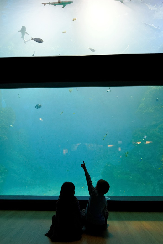 Lyon: Aquarium Entrance Ticket - Aquarium Exhibits