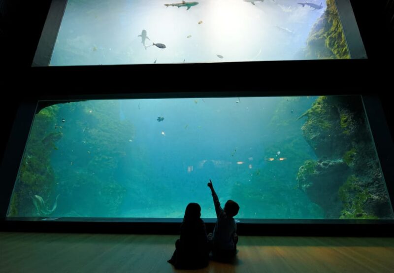 Lyon: Aquarium Entrance Ticket - Accessibility Options