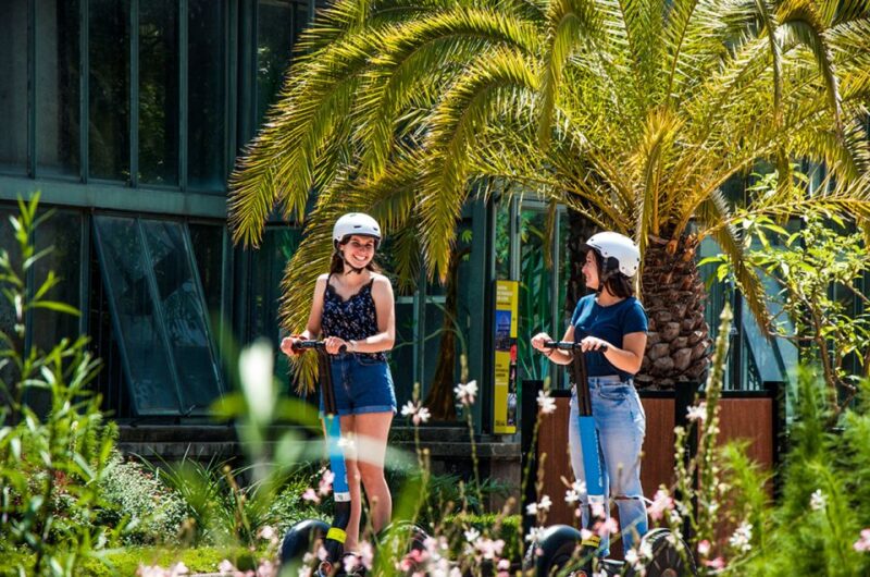 Lyon: City Segway Tour With a Local Guide - Included in the Tour