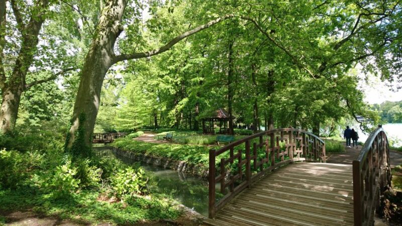 Lyon: Parc De La Tête D'or Urban Park Walking Tour - Key Points