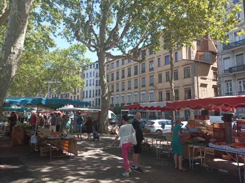 Lyon: Private Guided Tour With an Official Tour Guide! - Tour Logistics