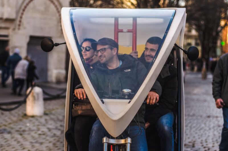 Lyon: Private Pedicab Tour of Top Landmarks & Hidden Gems - Discovering the Traboules