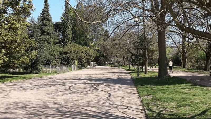 Lyon: Private Transfer and Sightseeing Tour - Accessibility and Meeting Point