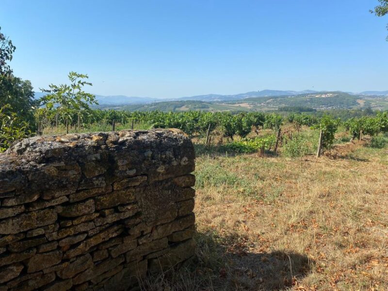 Lyon: Self-Guided Hike in the Beaujolais (Train & Picnic) - Itinerary and Duration