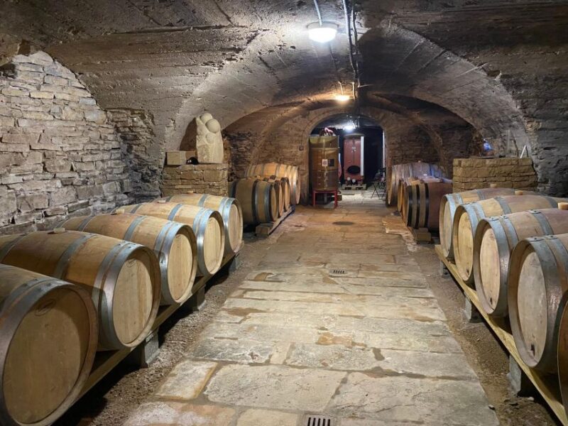 Lyon: Self-Guided Hike in the Beaujolais (Train & Picnic) - Physical Fitness Requirement