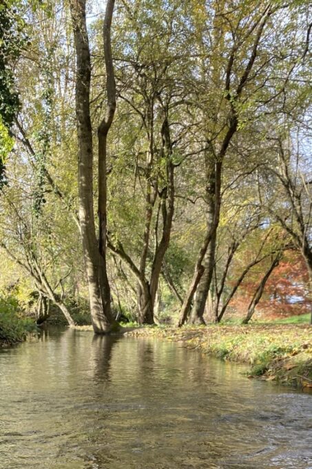 Lyon: Self-Guided Hike off the Beaten Track (Train & Picnic) - Frequently Asked Questions