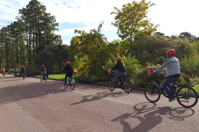 Lyon Small-Group Guided Electric Bike Tour With a Local Guide - Included Features
