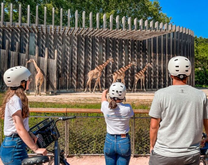 Lyon: The Grand Tour by Bike - Tour Inclusions and Restrictions