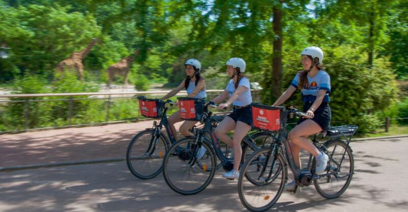 Lyon: the Great Bike Tour From North to South - Cycling Through the City