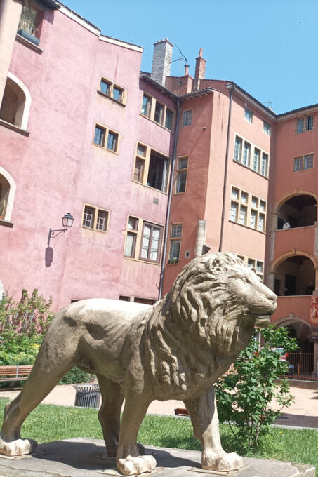 Lyon: the Most Complete Discovery! Private Guided Tour - Meeting Point Options