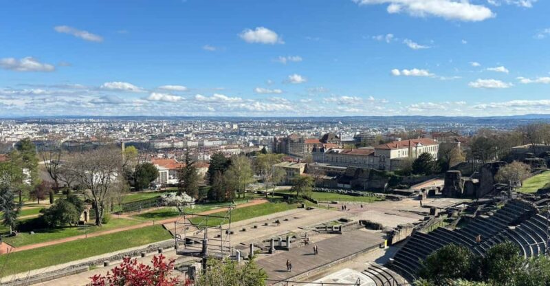 Lyon: Visit Lyon on a Private Half-Day Tour With a Driver - Key Points