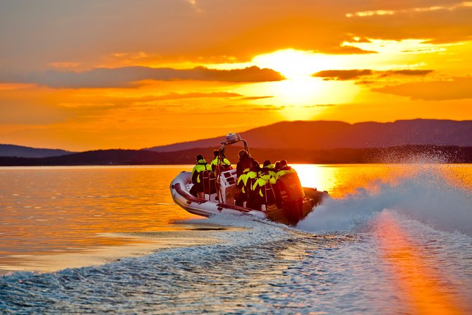 Lysefjord RIB Safari From Stavanger - Participant Suitability and Requirements