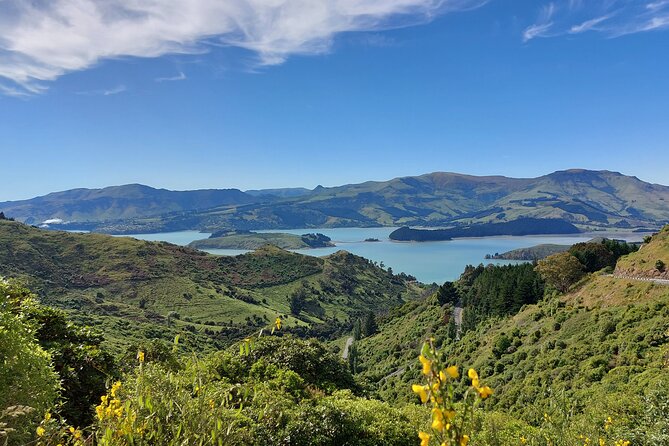 Lyttelton Shore Excursion: Christchurch Sights With Willowbank Wildlife Reserve - Inclusions and Accessibility