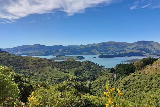 Lyttelton Shore Excursion: Christchurch Sightseeing With Jet Boating - Rated Experiences