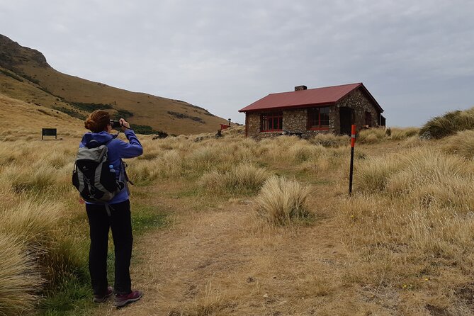 Lyttelton Shore Excursion -Guided Hiking Tour Packhorse Hut - Inclusions