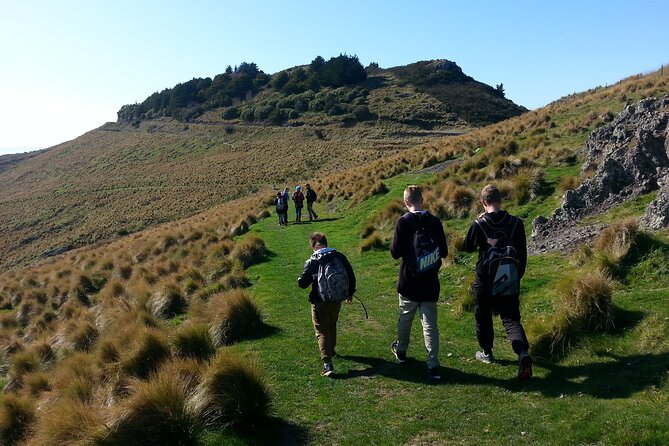 Lyttelton Shore Excursion -Guided Hiking Tour Packhorse Hut - Booking Information