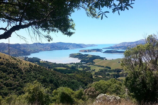 Lyttelton Shore Excursion -Guided Hiking Tour Packhorse Hut - End Point