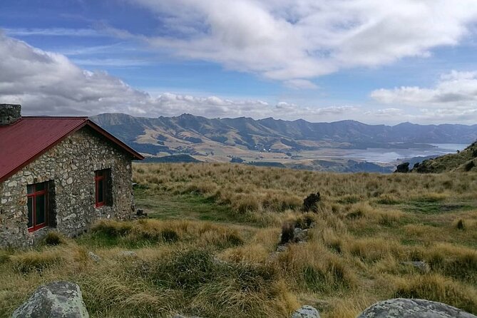 Lyttelton Shore Excursion -Guided Hiking Tour Packhorse Hut - Frequently Asked Questions