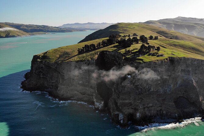 Lyttelton Shore Excursion - Guided Walking Tour and Picnic - Inclusions and Amenities