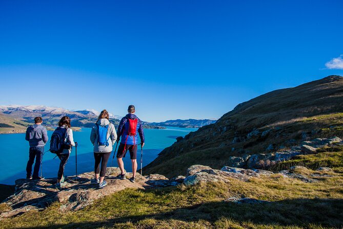 Lyttelton Shore Excursion - Guided Walking Tour and Picnic - Meeting and Pickup Details