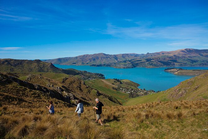Lyttelton Shore Excursion - Guided Walking Tour and Picnic - Booking and Cancellation