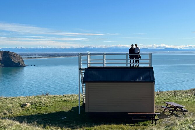 Lyttelton Shore Excursion - Guided Walking Tour and Picnic - Accessibility and Group Size