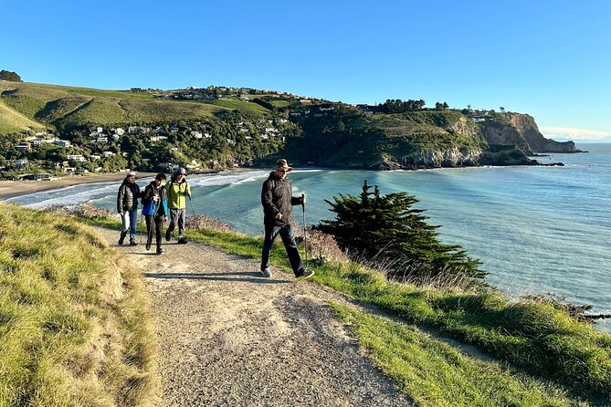 Lyttelton Shore Excursion - Guided Walking Tour and Picnic - Guest Reviews and Testimonials