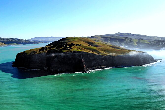 Lyttelton Shore Excursion - Guided Walking Tour and Picnic - Historical and Cultural Insights