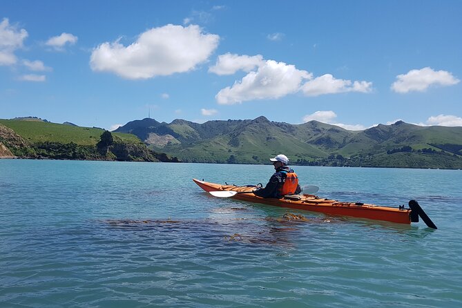 Lyttelton Shore Excursion - Sea Kayaking, Quail Island & Harbour - Booking and Cancellation Policy