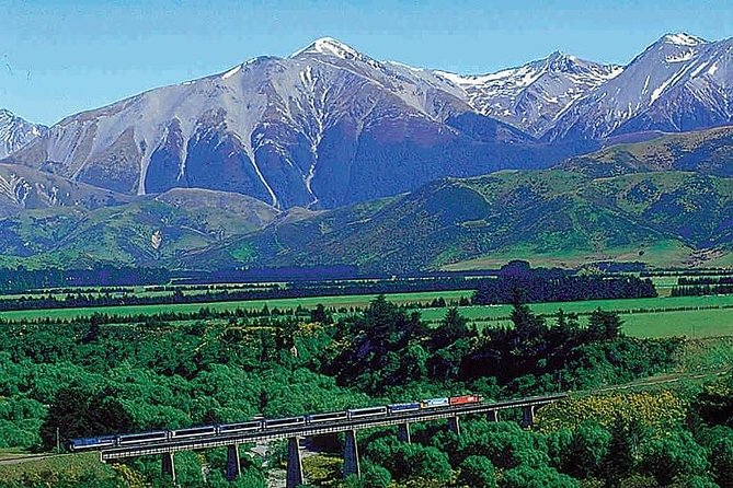 Lyttelton Shore Excursion: TranzAlpine and Arthurs Pass Tour - Meeting and Pickup