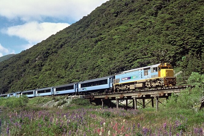 Lyttelton Shore Excursion: TranzAlpine and Arthurs Pass Tour - High Country Station