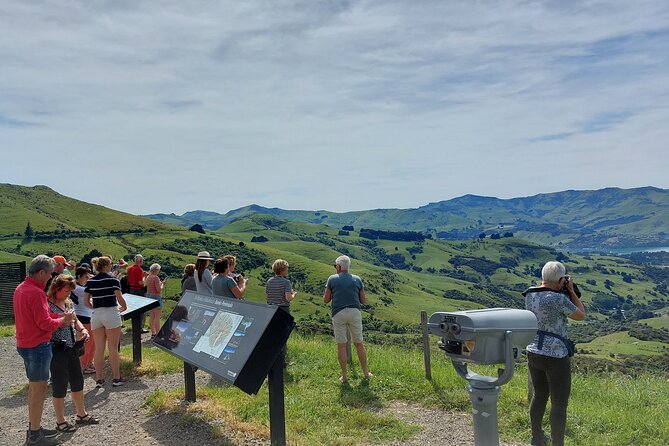 Lyttelton Shore Excursion: Twin Harbour Tour (Lyttelton & Akaroa) - Meeting and Pickup