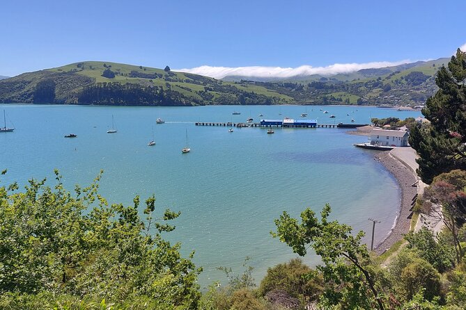 Lyttelton Shore Excursion: Twin Harbour Tour (Lyttelton & Akaroa) - Cancellation Policy