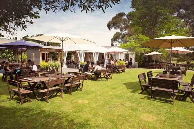 Lyttelton Shore Excursion - Waipara Wine Tour With Lunch - Accessibility and Additional Info