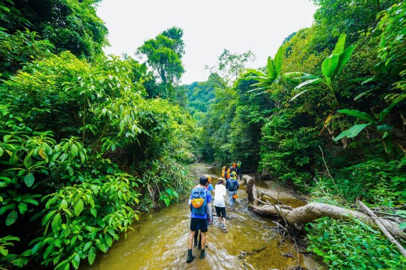 Ma Da Valley Jungle Camping 2D1N - Key Points