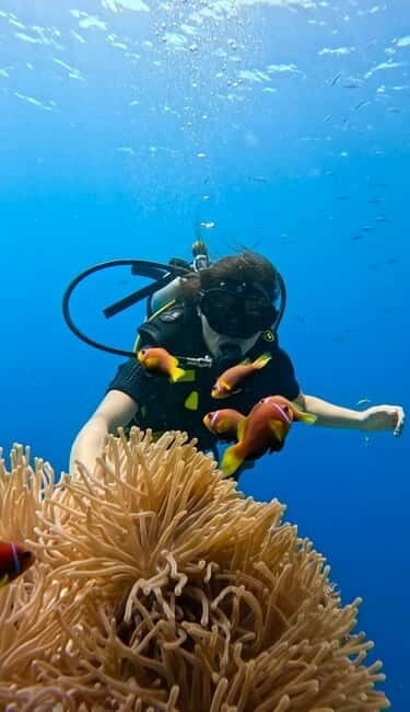 Maafushi: Discover Scuba Diving Class, First Time Experience - Who is this tour for?