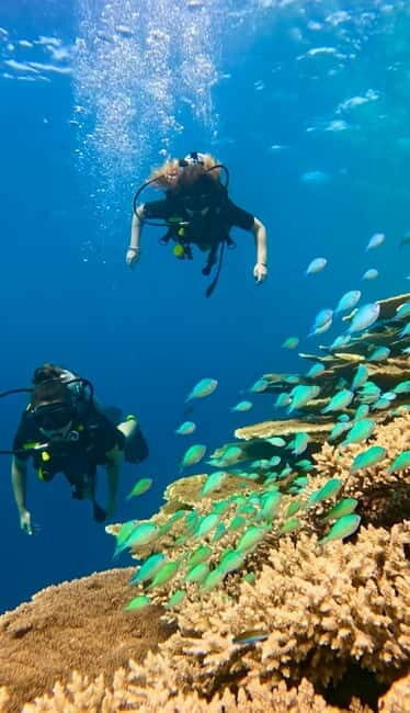 Maafushi: Discover Scuba Diving Class, First Time Experience - Details That Matter: What to Expect
