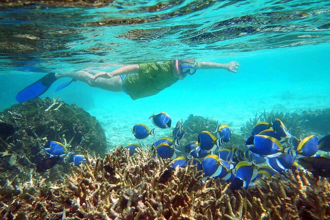 Maafushi: Full Day Snorkeling and Island Hopping Experience - Key Points