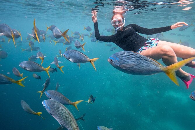 Maafushi: Full Day Snorkeling and Island Hopping Experience - Booking the Tour on Maafushi