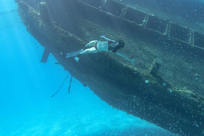 Maafushi: Ship Wreck & Nurse Shark Snorkeling With Dolphin Watching - Snorkeling Equipment and Safety Precautions