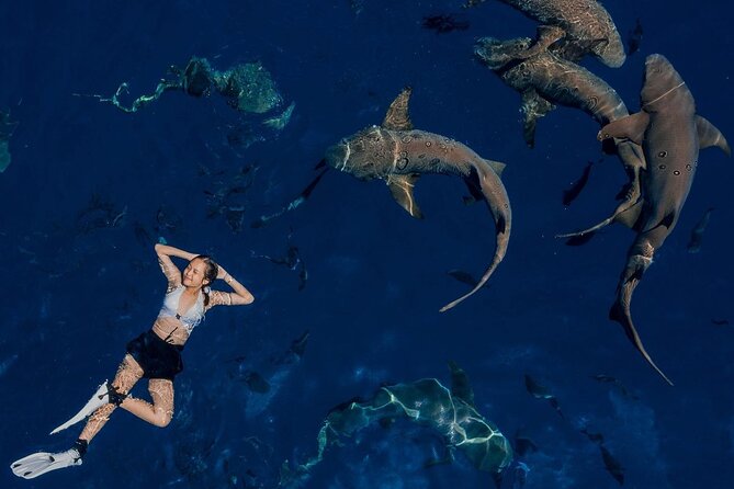 Maafushi: Ship Wreck & Nurse Shark Snorkeling With Dolphin Watching - Pickup and Transfer Arrangements