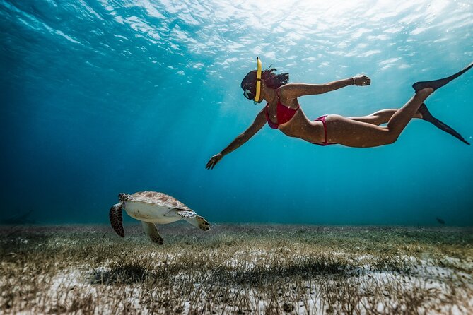 Maafushi: Snorkeling in Maldives Half Day Trip - Key Points