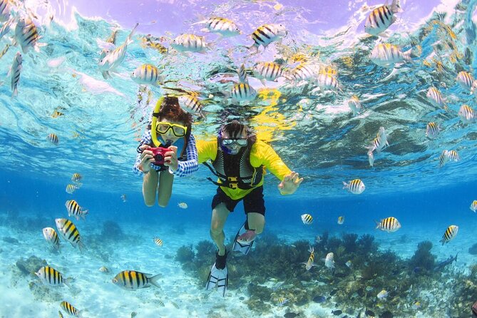 Maafushi: Snorkeling in Maldives Half Day Trip - Host Responses and Customer Service