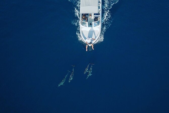 Maafushi: Snorkeling in Maldives Half Day Trip - Tips for a Memorable Trip