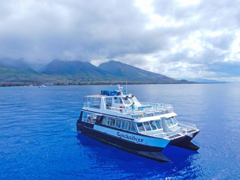 Maalaea Harbor: Whale Watching Catamaran Cruise - Catamaran Features