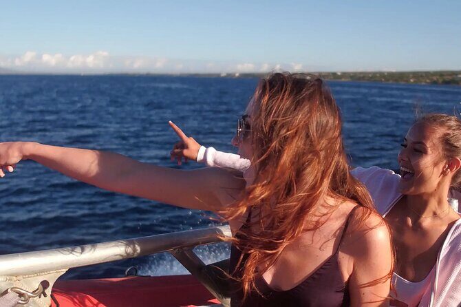 Maalaea Whale Watching Activity Visit - The Practical Details