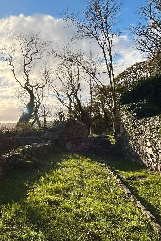 Maam Valley Safari: Half Day Lough Corrib Boat Tour - Itinerary Highlights
