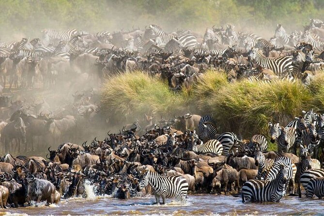 Maasai Mara 3 Day Guided Tour - Cultural Immersion