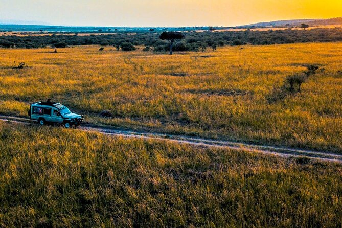 Maasai Mara 3 Day Guided Tour - Accommodation and Meals